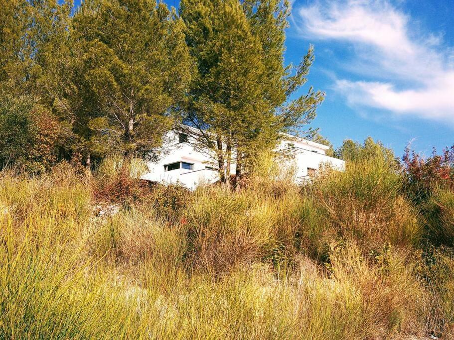 Villa Contemporaine F5 Cote Azur Ollioules Calme ภายนอก รูปภาพ
